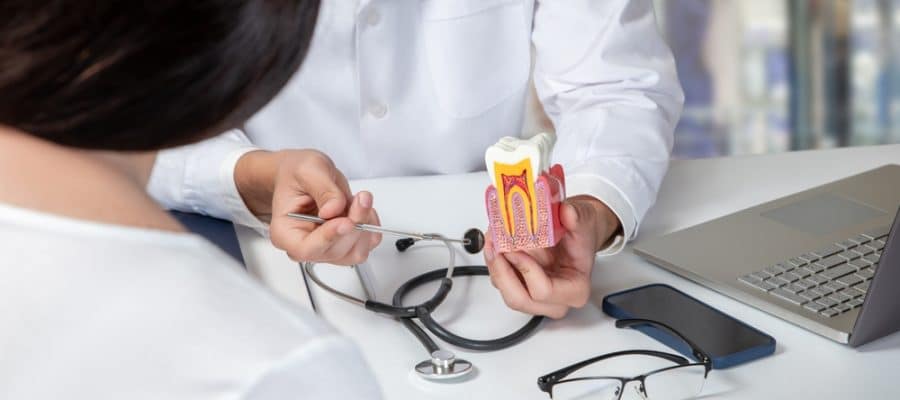 Dentist explaining the symptoms of a root canal to a patient using a model during a consultation.